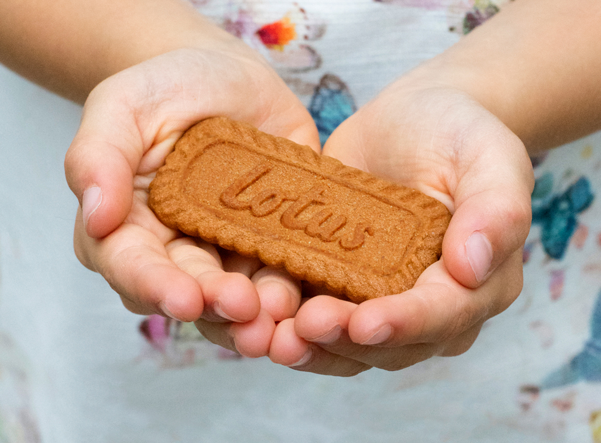 Lotus The Original Spéculoos With 6 Cereals 450 gr