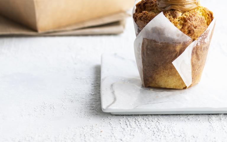 Lotus Biscoff Spread 3kg