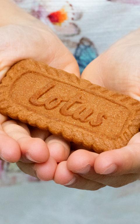 biscuit